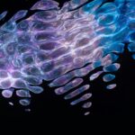 How to Fix Your Bad Gut Microbiome