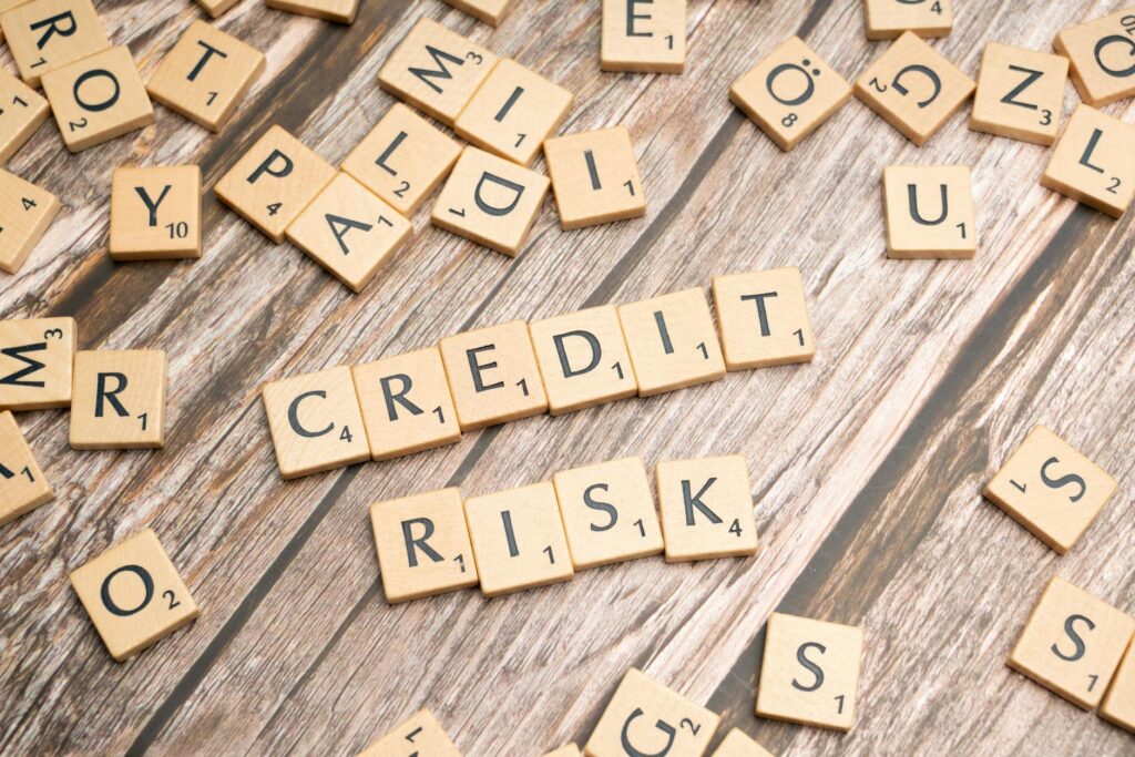 credit risk management