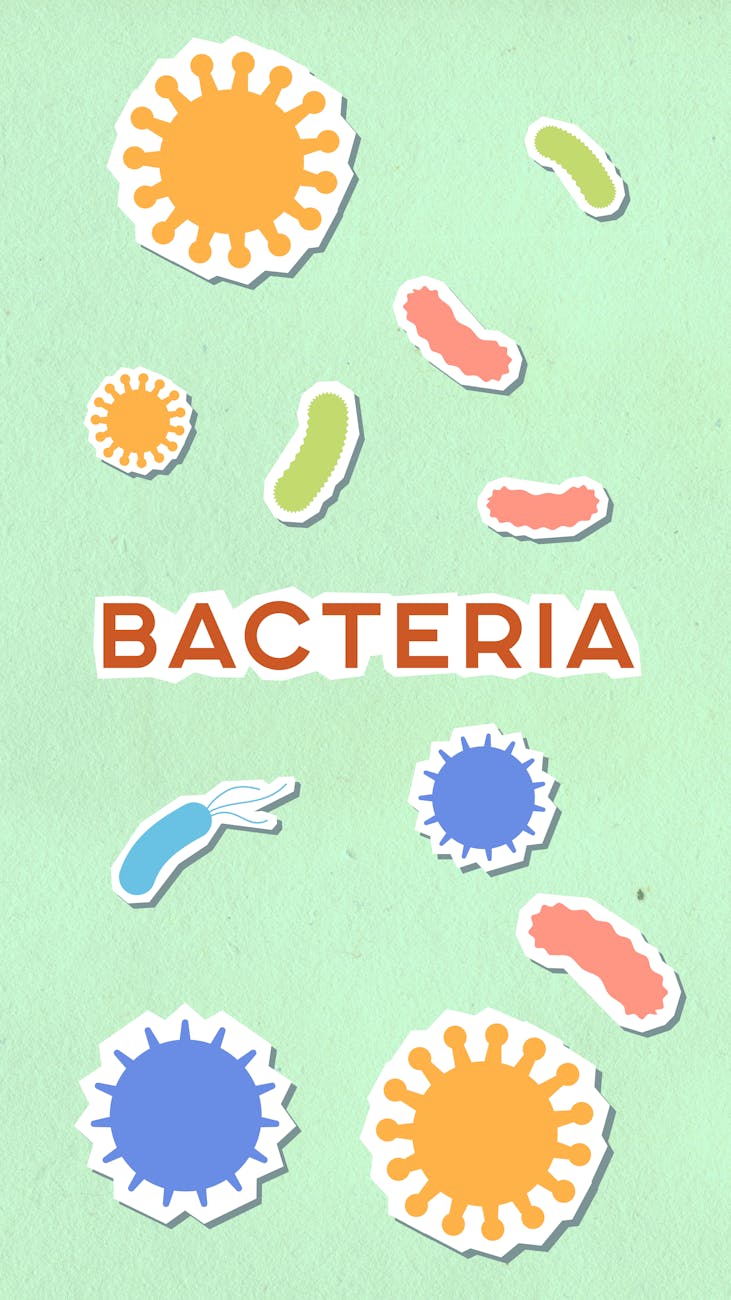 decorative cardboard illustration of bacteria with viruses